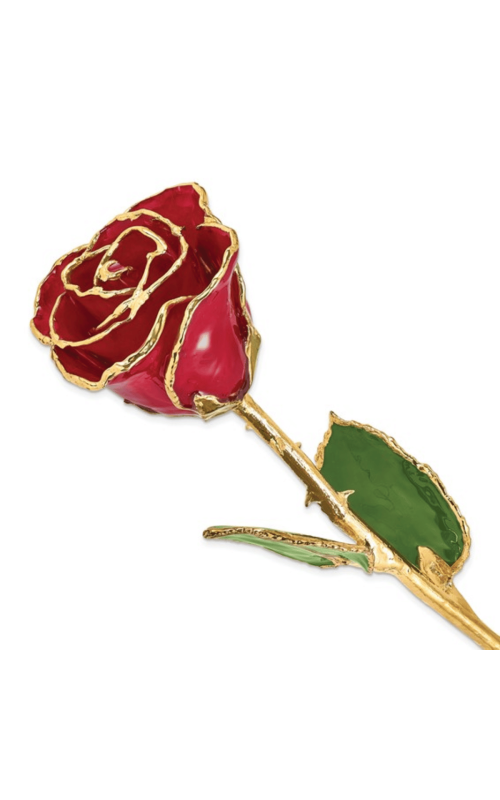 Lacquer Dipped Gold Trimmed Red Real Rose