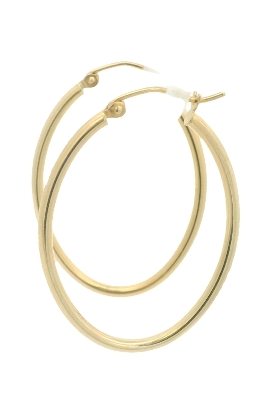 Oblong Hoop Earrings